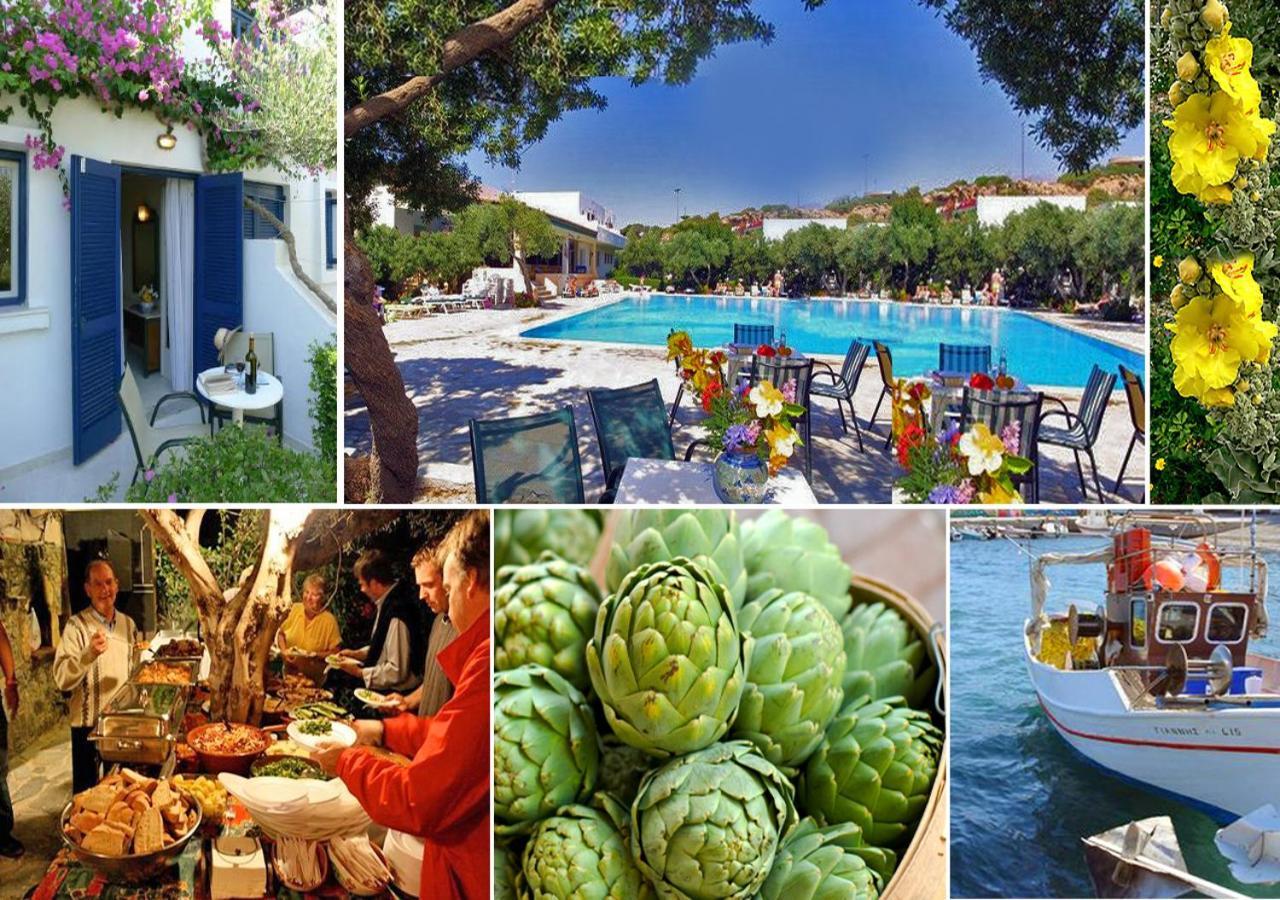 Villea Village 3* Makrýgialos