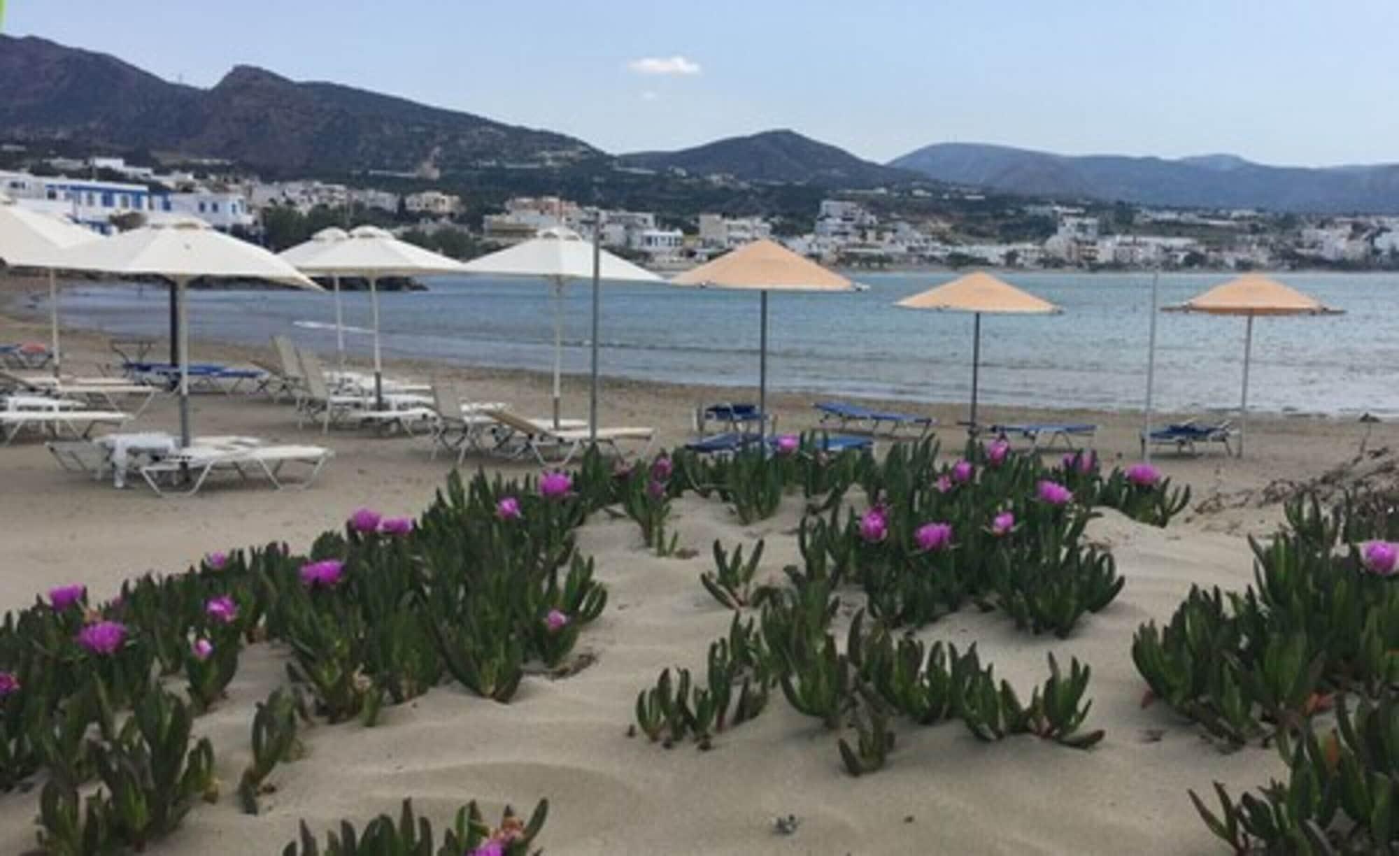 Villea Village 3* Makrýgialos