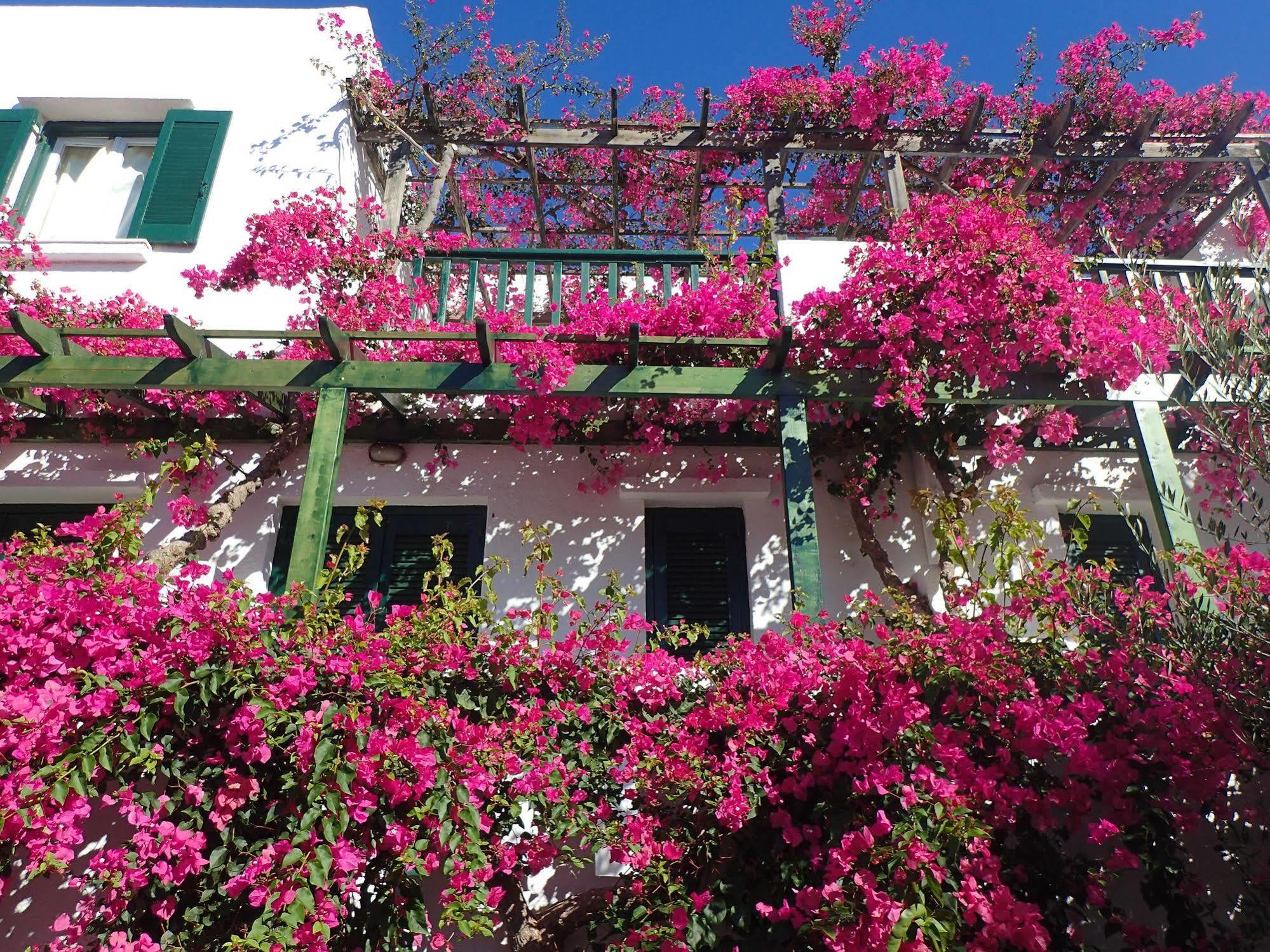Villea Village Appart hôtel Makrýgialos